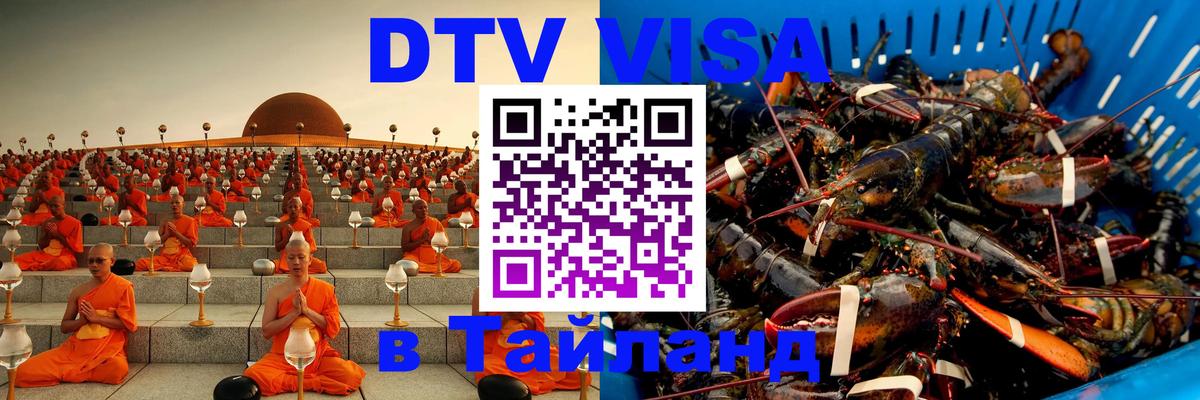 Оформление DTV визы под ключ: стоимость и тарифы, только загранпаспорт - 10.12.2025 